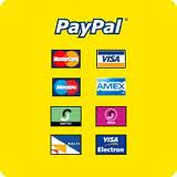 Paytaxionline.png